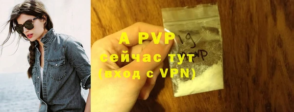 дживик Саяногорск