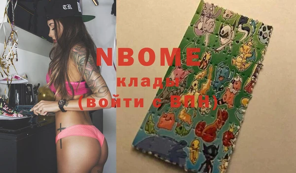 хмурый Алзамай