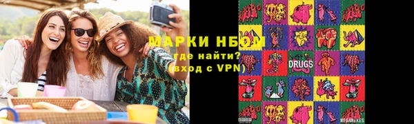 хмурый Алзамай